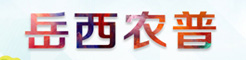 ũר